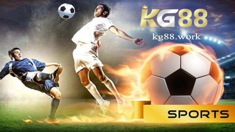 Các môn thể thao trong saba sport KG88