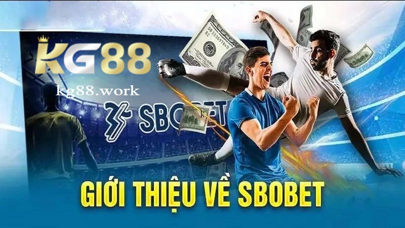 Sảnh Sbobet Kg88 là gì? Sảnh Sbobet Kg88 là gì?