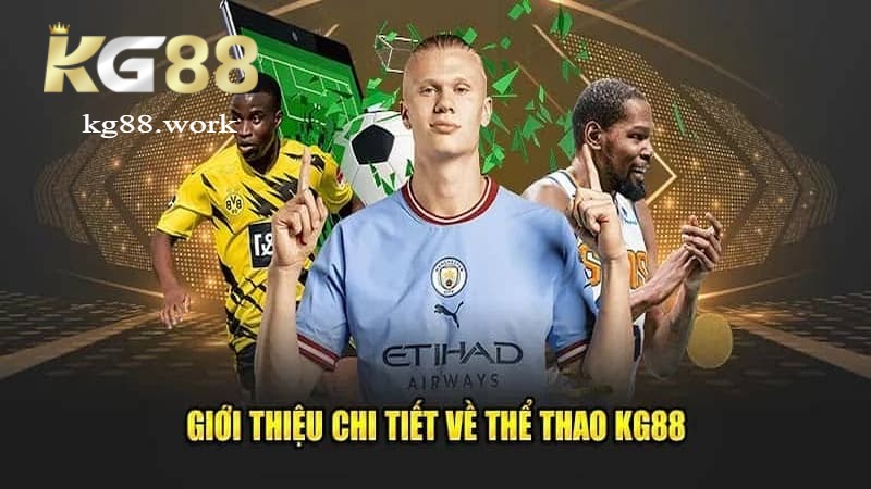 Các bộ môn đặc sắc tại sảnh thể thao tại KG88